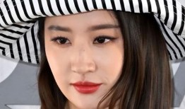 娱乐圈刘亦菲内幕爆料,真相与传闻的交织